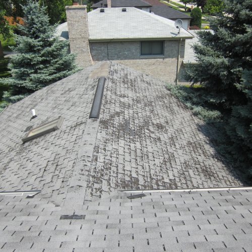 How Do I Know If I Need A New Roof? - M&M Home Remodeling Services