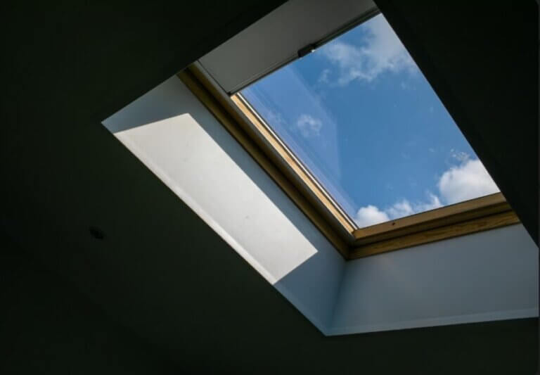 Gallery image with a fresh perspective